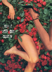 can i call you rose¿