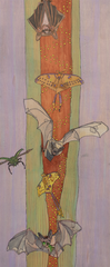 Bats and Luna Moths