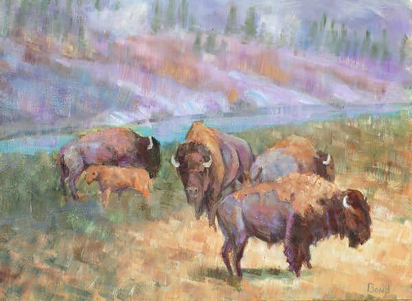 Bison - Cow and Calf