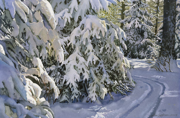 Bright Winter Ski