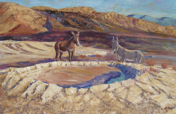 Burro Springs