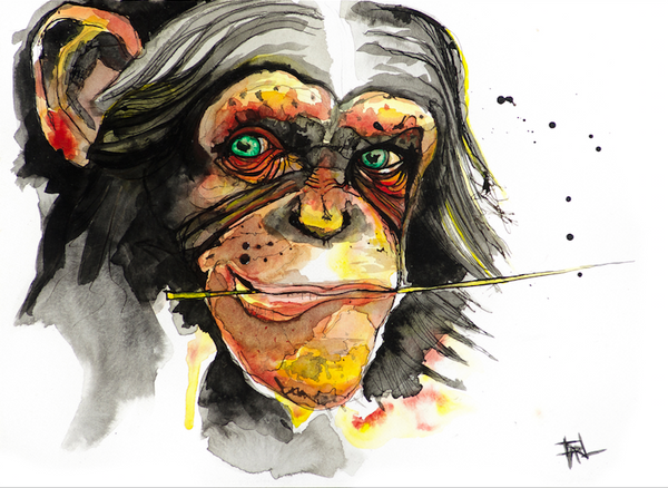 Chimp