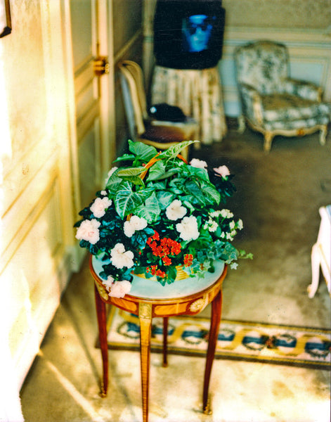 Flowers, TV Image, Ritz Hotel, Paris