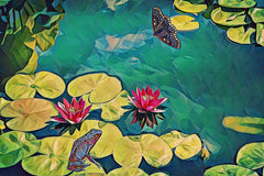 Frog and Butterfly Pond