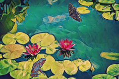 Frog and Butterfly Pond