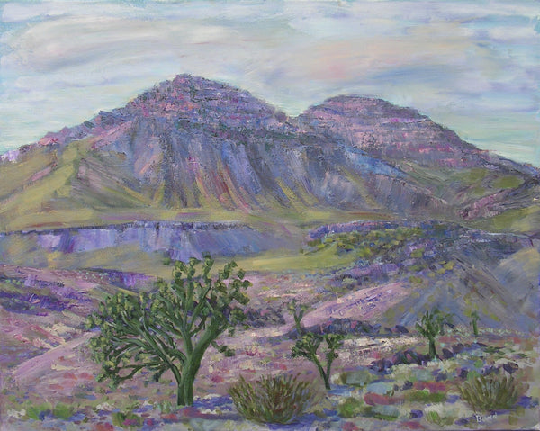 Joshua Tree Desert