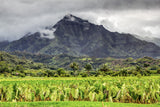 Kauai