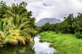 Kauai ii