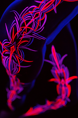 Lines of Light #15