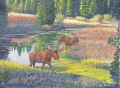 Moose Pond Grand Teton National Park