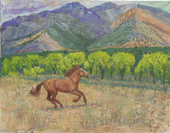 Nevada Mustang