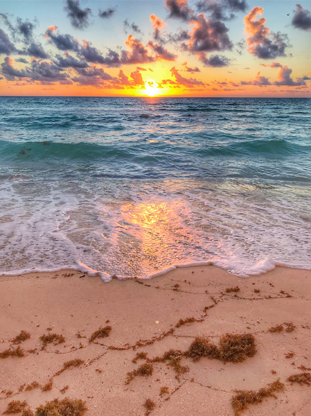 Ocean Sunrise 2