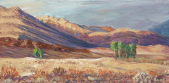 Palm Springs Saline Valley