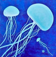 Sea Jellies