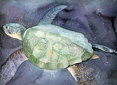 Sea Turtle