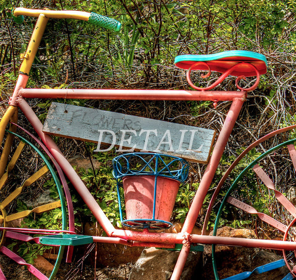 Tahoe Bicycle