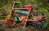 Tahoe Bicycle