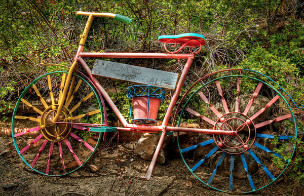 Tahoe Bicycle