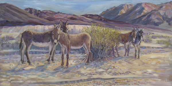 The Burro Family