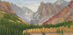 Wild Canyon