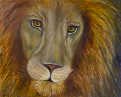 Lion Portrait