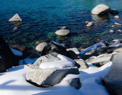 Tahoe Shore