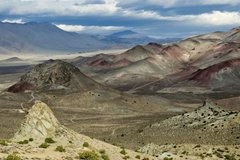 Palomino Valley