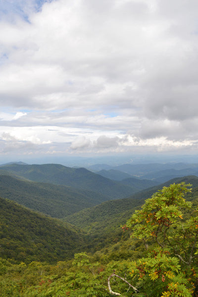 Misty Blue Ridge Vista