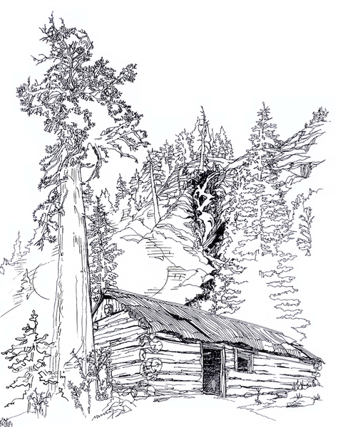 Miner's Cabin with Waterfall