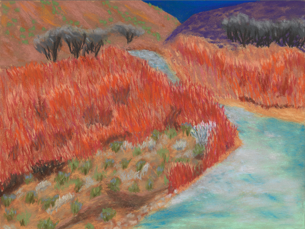 Red Brush, Rio Grande, Taos