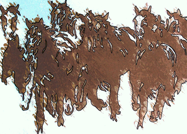 Stampede ii