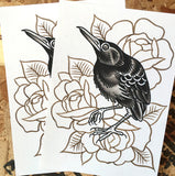 Starling