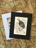 Starling