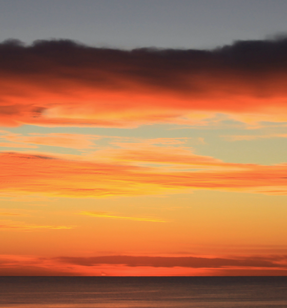 Sea Glow